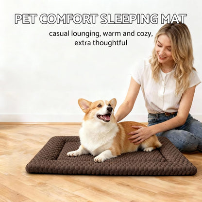 Small dog resting comfortably on a Fogkiss crate pad