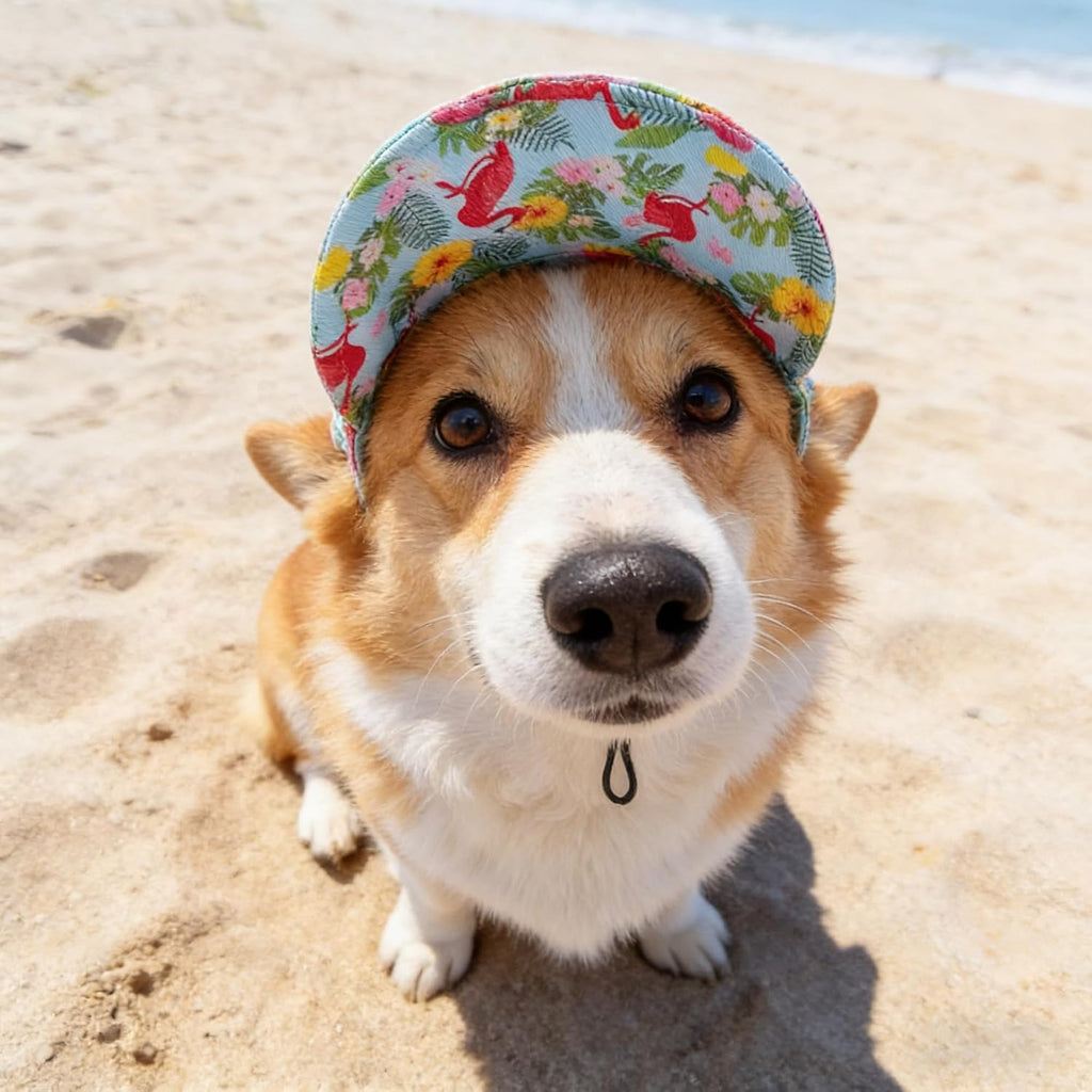 Close up of breathable fabric on JpGdn dog baseball cap