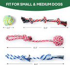 TwoEar multi shape dog toy pack including a rope ball and loop for interactive fetching games
