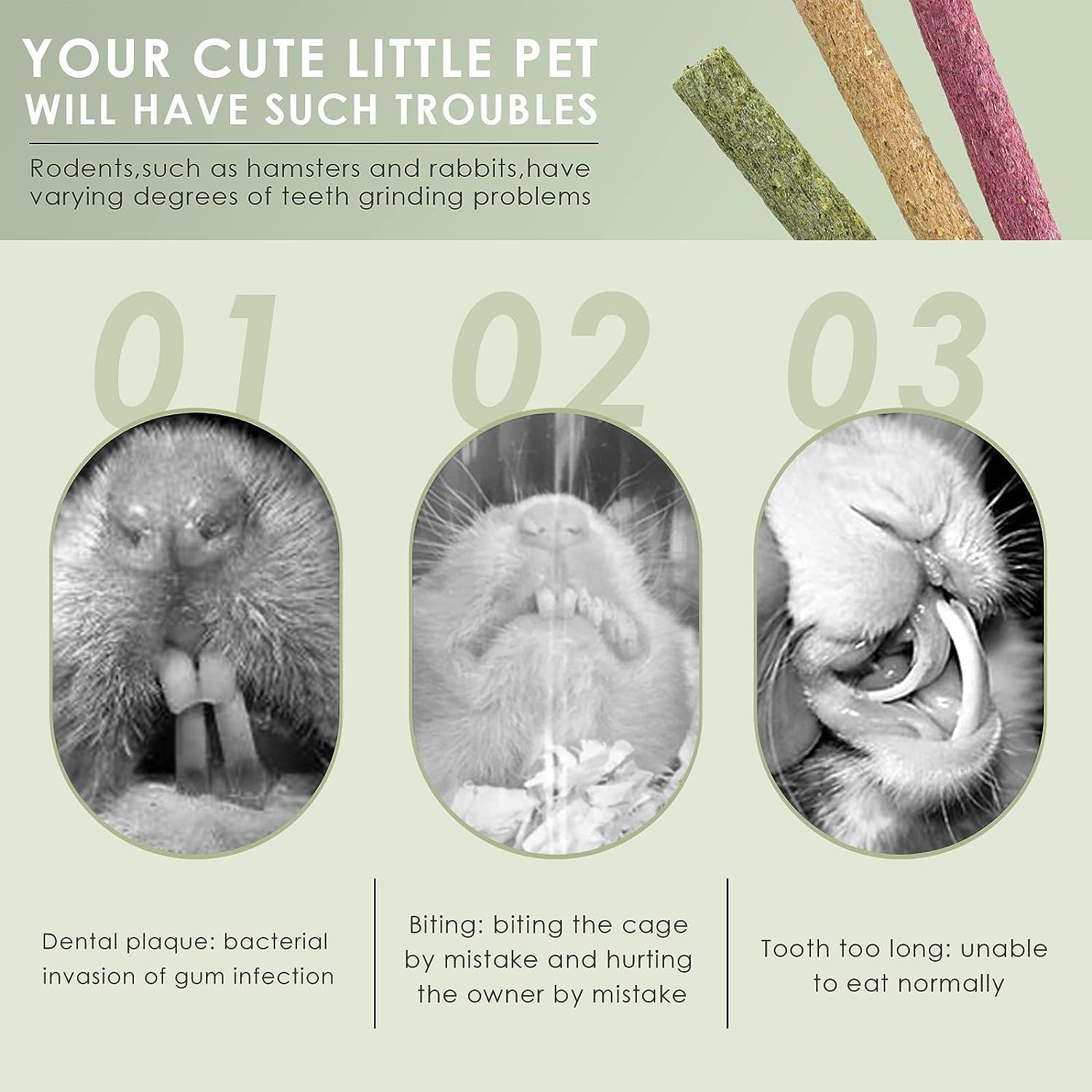 Premium imported rabbit treat sticks showing natural beet and oatmeal ingredients