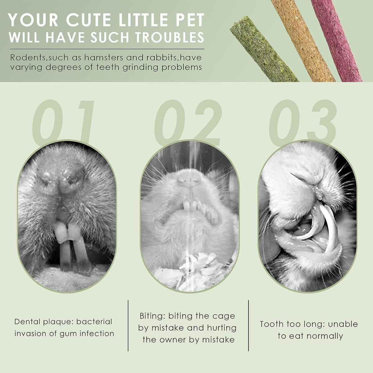 Erkoon small pet dental care treats