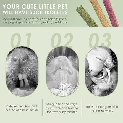 Premium imported rabbit treat sticks showing natural beet and oatmeal ingredients