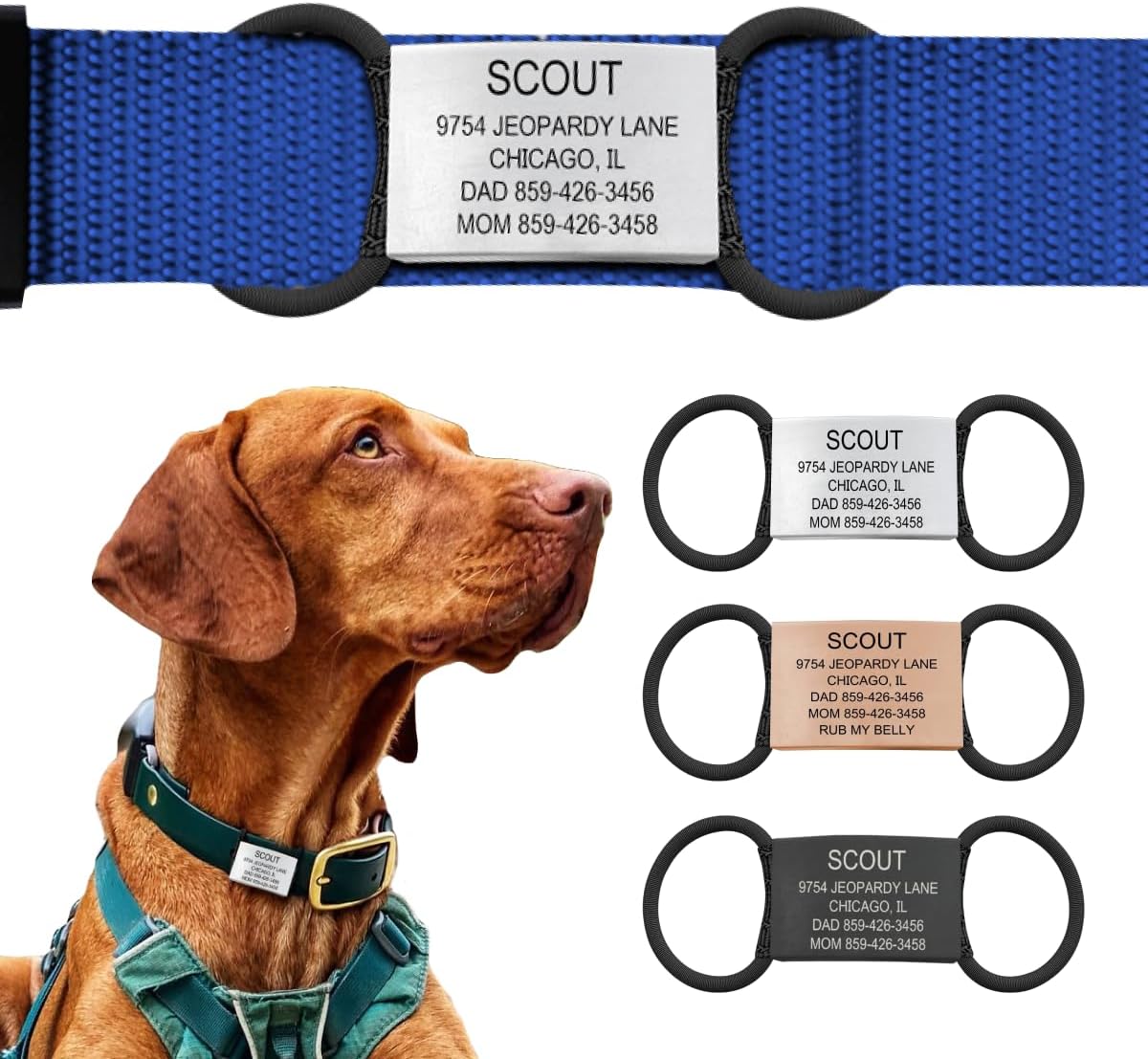 ROAD iD Pet ID Slate front view on a nylon dog collar showing personalized laser engraving.