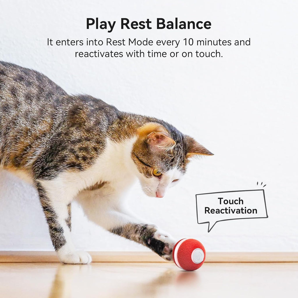 Cheerble automated pet ball toy packaging view emphasizing authentic imported quality details.