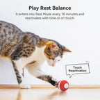Cheerble automated pet ball toy packaging view emphasizing authentic imported quality details.