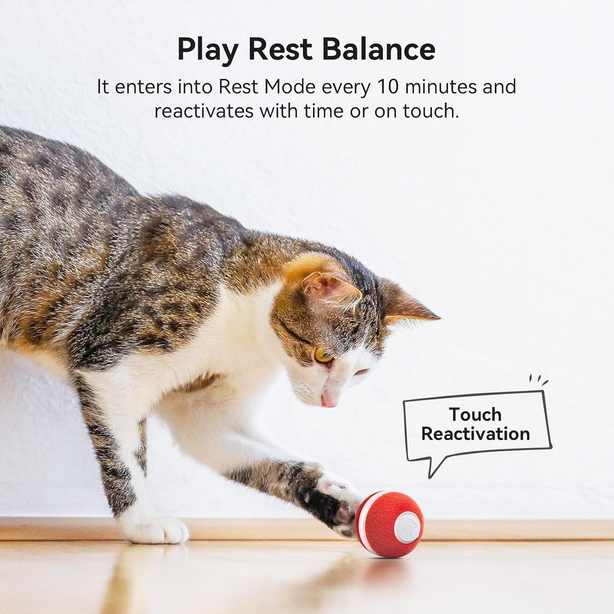 Cheerble automated pet ball toy packaging view emphasizing authentic imported quality details.