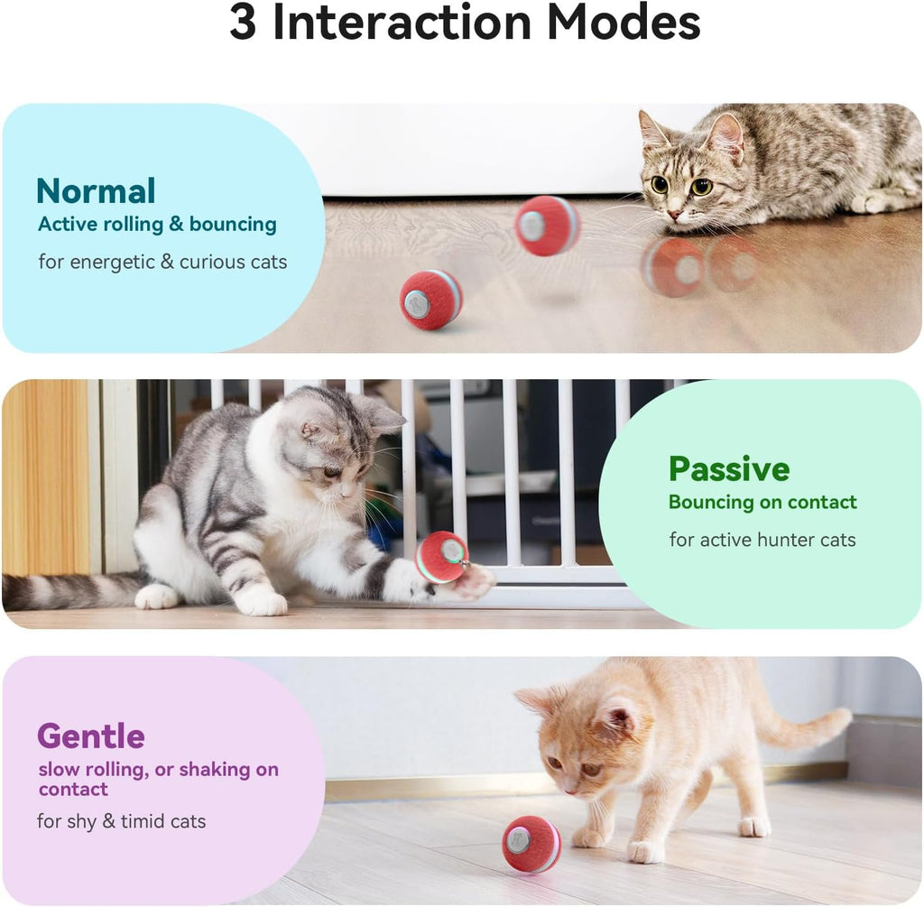 Cheerble automatic moving ball toy for indoor cats demonstrating the obstacle avoidance feature near a wall.
