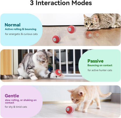 Cheerble automatic moving ball toy for indoor cats demonstrating the obstacle avoidance feature near a wall.