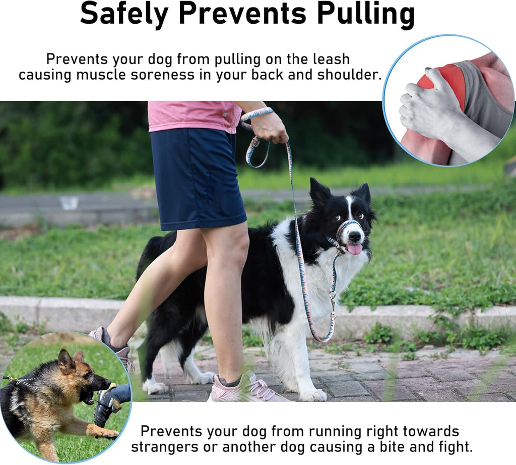 Side profile of dog wearing Barkless anti-pulling head halter