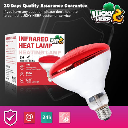 Lucky Herp infrared light bulb being used in a commercial food service temperature control setup.