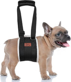Adjustable Dog Lift Harness Dog Sling for Large Dogs Hind Leg Support Soft Lift Support and Rehab Harness for Weak Rear Legs, Helps Senior, Injured, Disabled and After ACL Surgery Dogs Large - Image 14