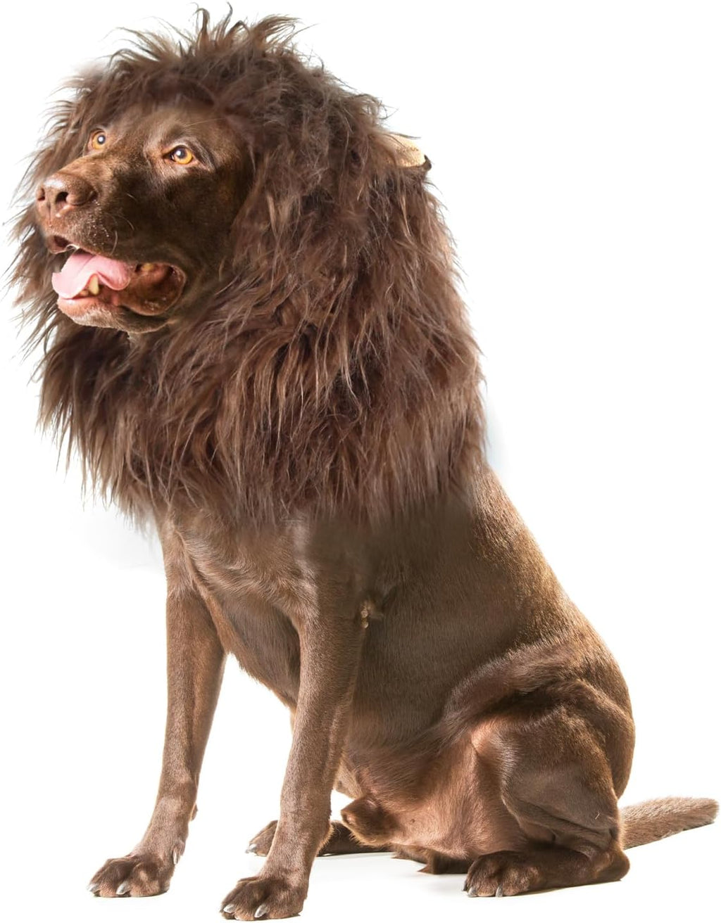 Onmygogo Lion Mane Wig for Dogs with Ears, Funny Pet Costumes for Halloween Christmas - Image 10