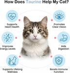 Pure taurine powder cat supplement for heart and vision health