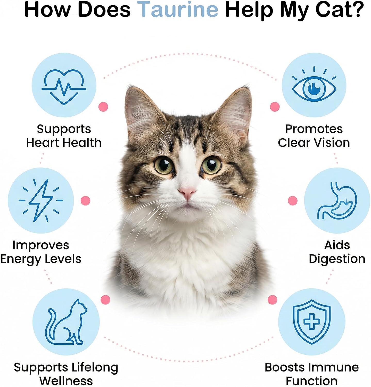 Pure taurine powder cat supplement for heart and vision health