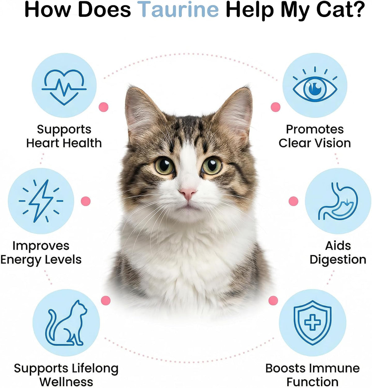 Pure taurine powder cat supplement for heart and vision health