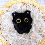 Authentic USA-imported black cat interactive toys packaging view