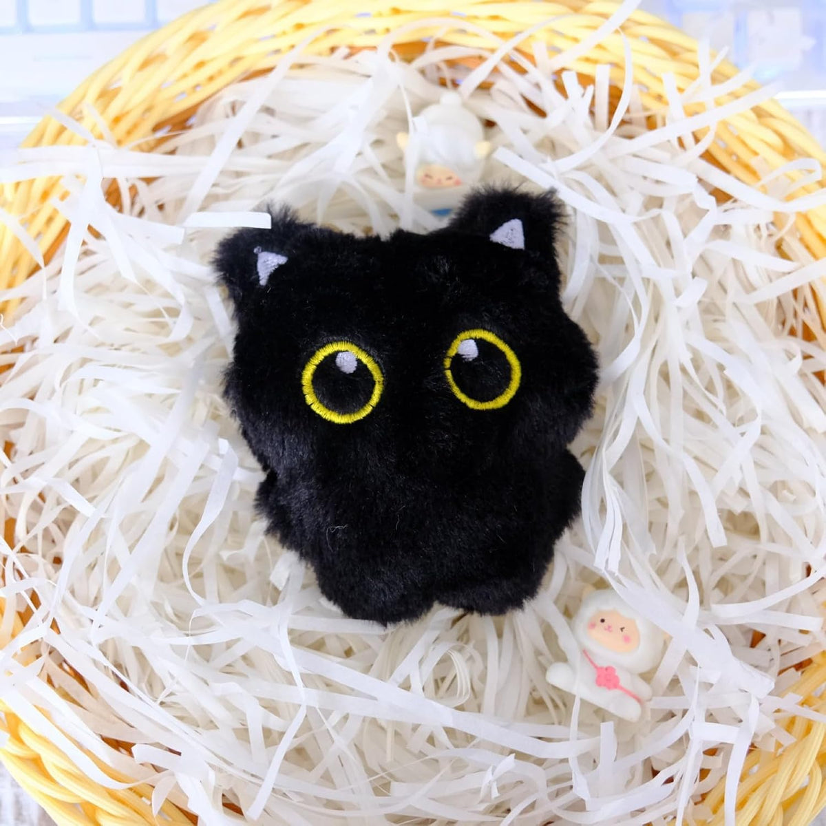 Authentic USA-imported black cat interactive toys packaging view