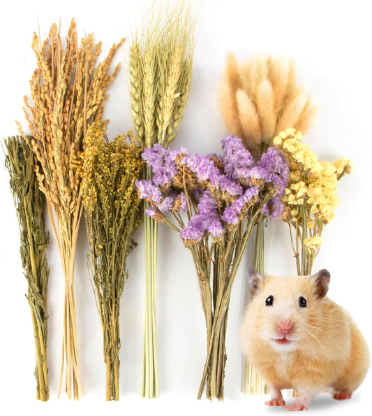 Sukh 60Pcs Nature Flower Herb Hamster Bedding - Cage Enclosure Habitat Decor Mate Small Animal Natural Ear of Grain Sprays for Syrian Dwarf Hamsters Gerbils Rabbit Other Pets - Image 1