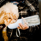 Mr. Pen- Portable Dog Water Bottle, 19 oz, Large | Leak Proof Puppy Water Dispenser with Drinking Feeder for Pets, Outdoor Walking, Hiking, Travel, Not Dishwasher Safe - Image 9