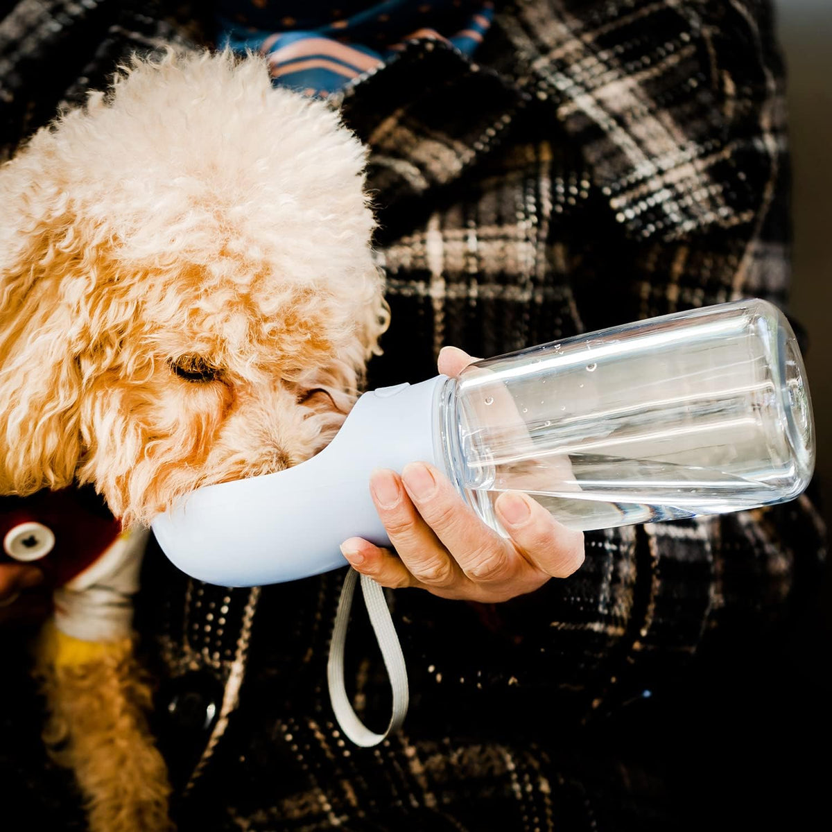Mr. Pen- Portable Dog Water Bottle, 19 oz, Large | Leak Proof Puppy Water Dispenser with Drinking Feeder for Pets, Outdoor Walking, Hiking, Travel, Not Dishwasher Safe - Image 9