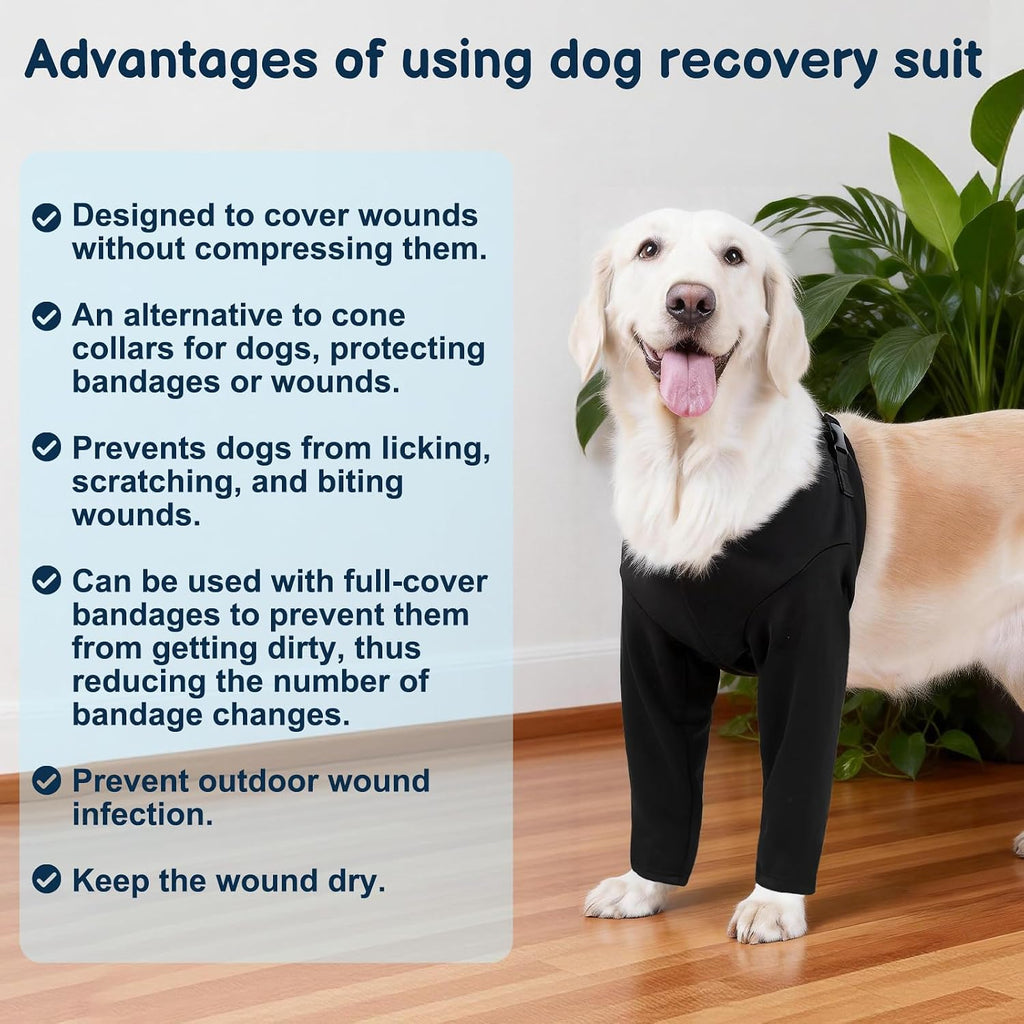 Barkless premium dog shoulder protective sleeve black color xl size lifestyle shot.