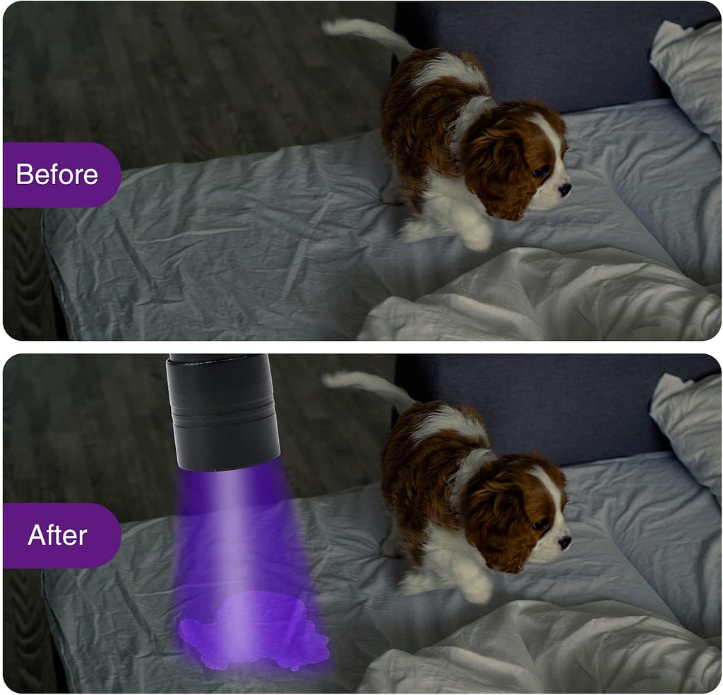 Two pack UV torch bundle showing the dual mini flashlights and AAA battery components.