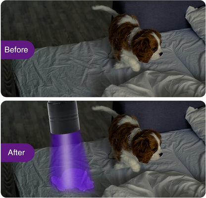 Two pack UV torch bundle showing the dual mini flashlights and AAA battery components.