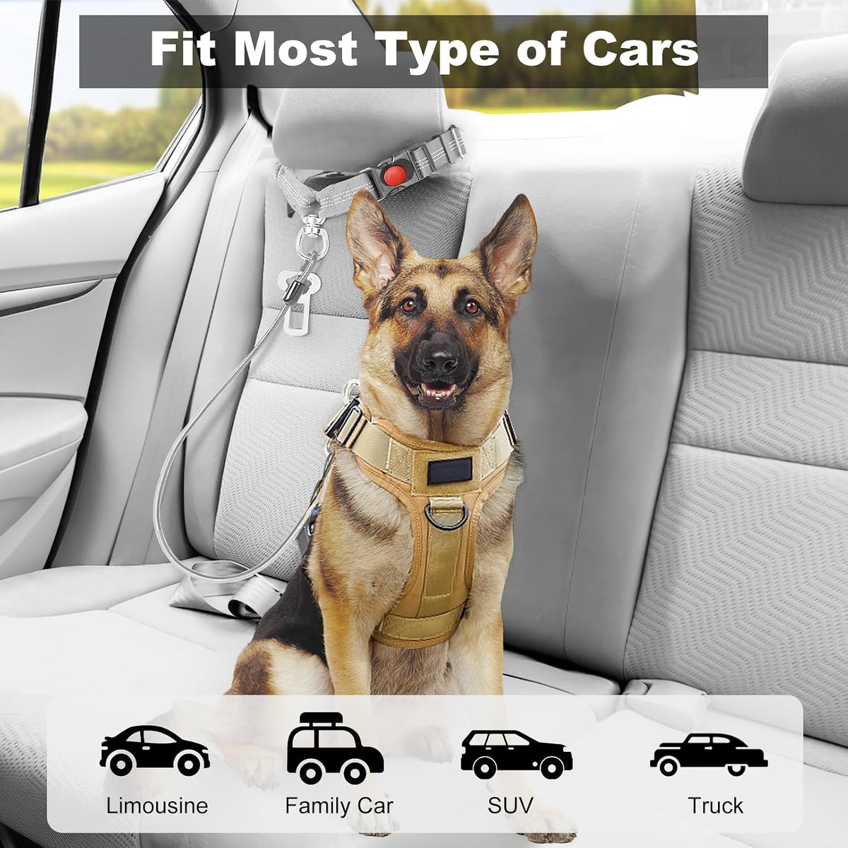 Giiyoe pet restraint demonstrating 360 degree swivel buckle