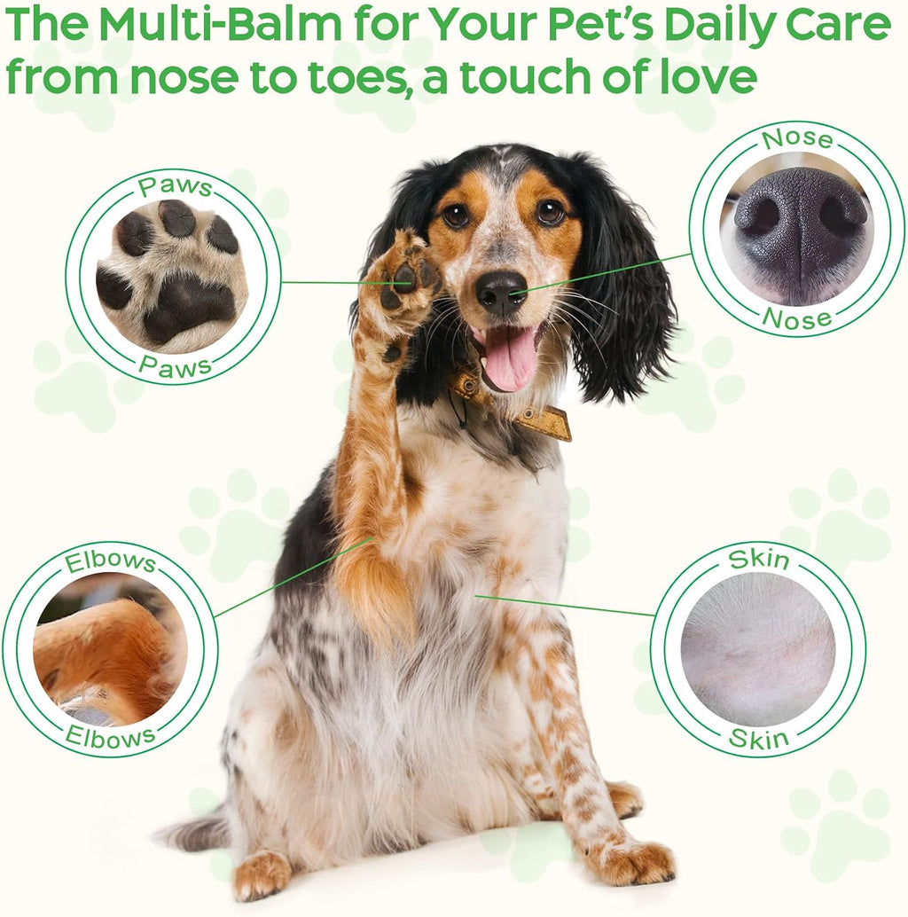 Pet owner applying soothing balm to dog nose