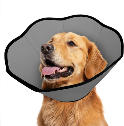 MIDOG dog cone collar after surgery front view on a grey dog