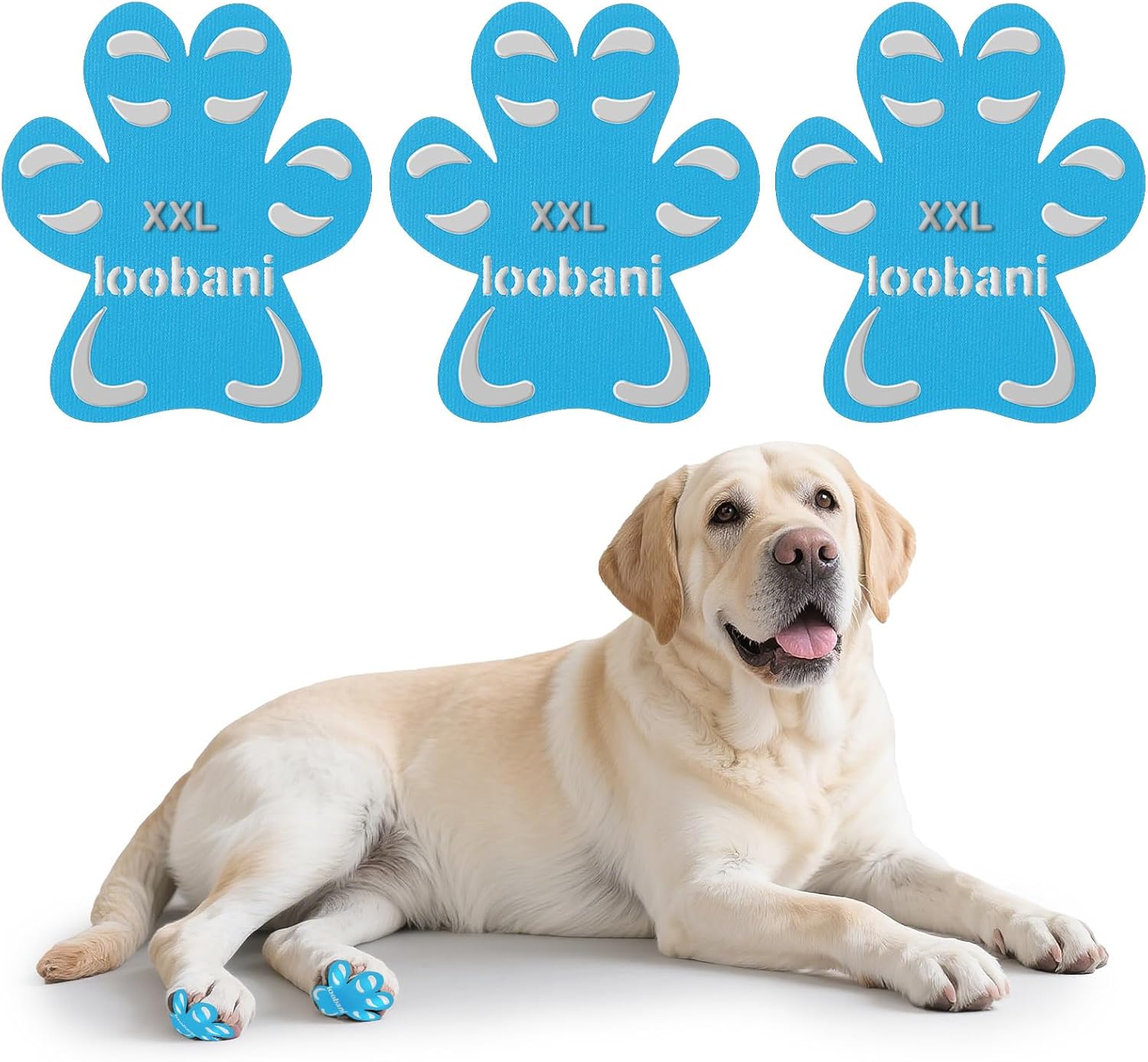 Paw Pads for Dogs Traction - 48Pieces Anti-Slip Sticky Dog Paw Protector Pads for Senior Dogs, Non Slip Adhesive Dog Paw Pads for Slippery Hardwood Floors to Prevent Slipping While Walking Running - Image 10