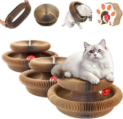 Kitty Curls Cat Toy,Foldable Magic Organ Cat Toy,Magic Organ Cat Scratcher Board,Foldable Recyclable Cat Accordion Toy for Indoor Cat Playing,Interactive Scratch Pad with Toy Ball - Image 10