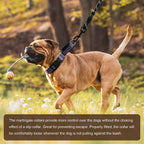 Durable escape proof dog collar showing reflective strip visibility