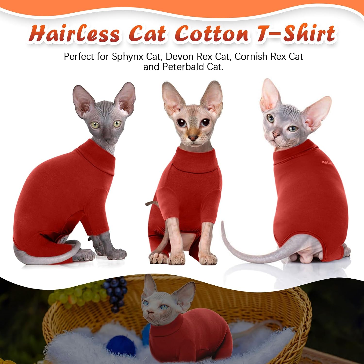 Side view of Sphynx cat in four legged sweater