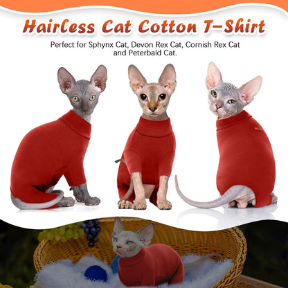 Side view of Sphynx cat in four legged sweater