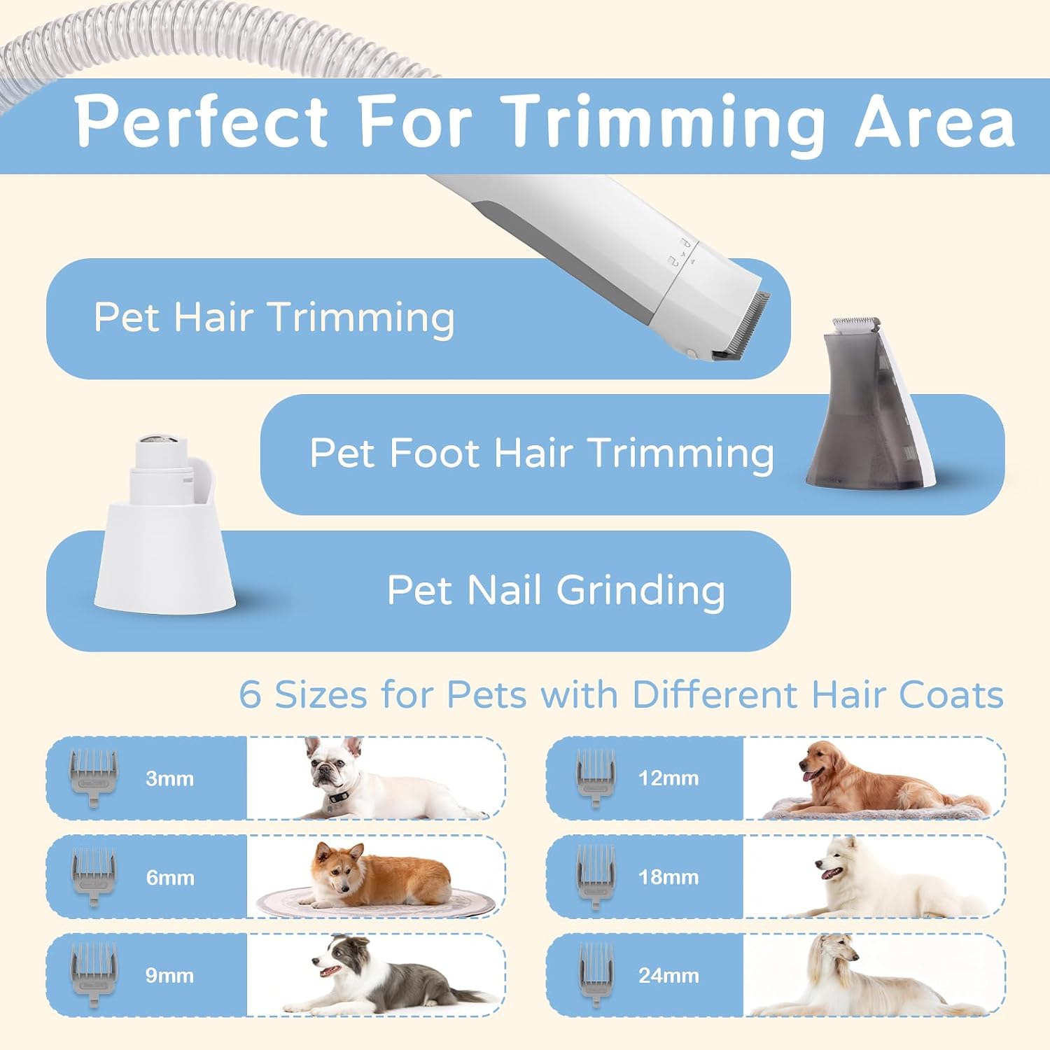 8VR Dog Nail Grinder attachment being used for safe pet paw grooming and smoothing.