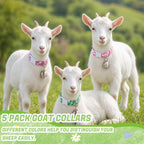Adjustable 33 to 50 centimeter floral goat tracking belt laid flat to demonstrate size customization for lambs and small livestock.
