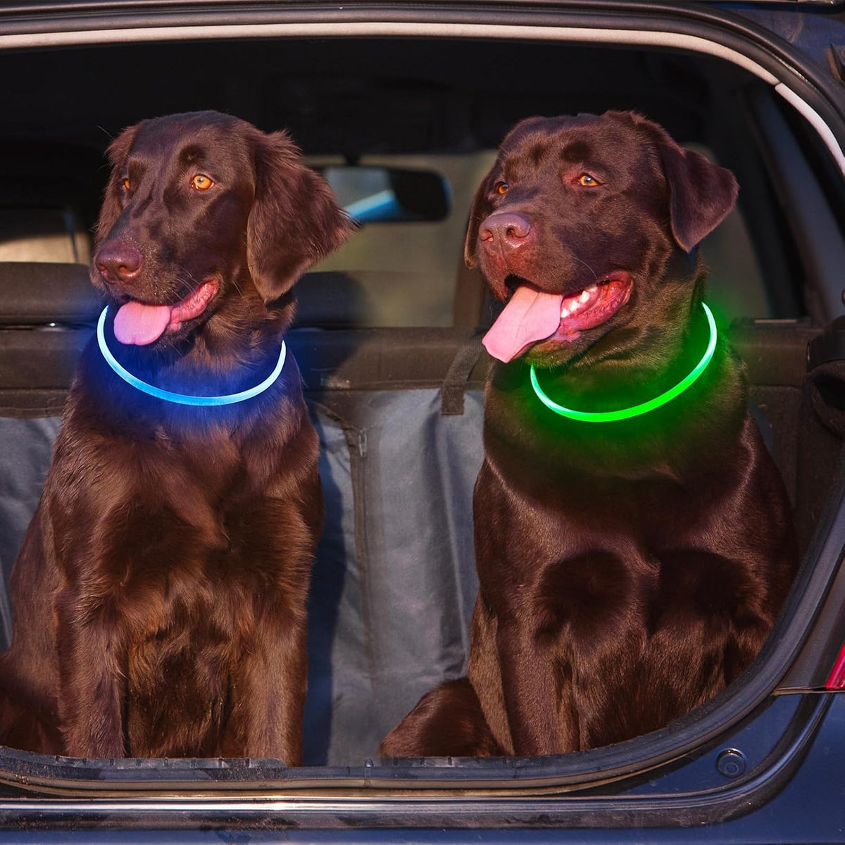 Side profile of LED safety collar on medium dog