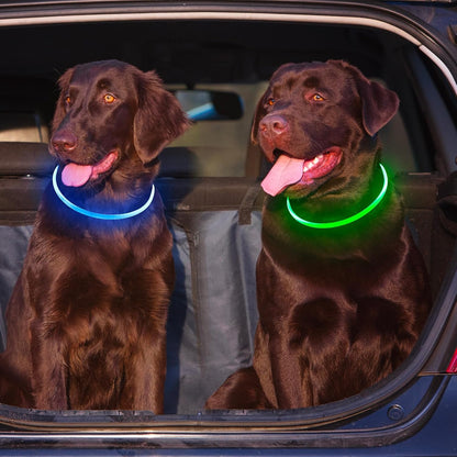 Side profile of LED safety collar on medium dog