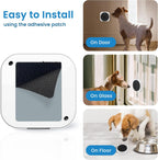 Dog pressing wireless doorbell button for potty training