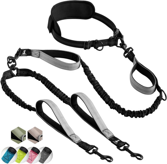 SparklyPets hands free double dog leash front view gray nylon lead for two dogs