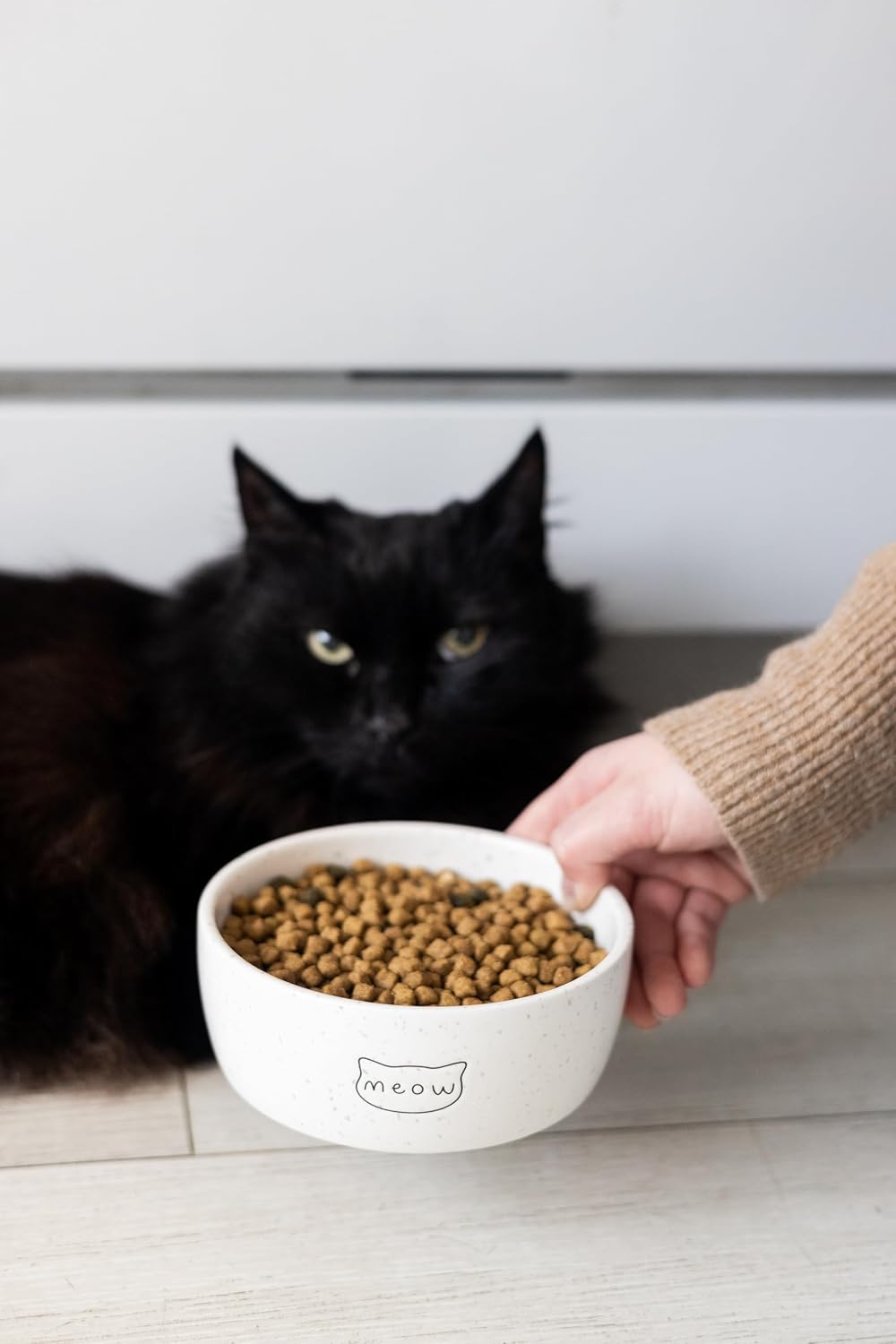 Pearhead ceramic meow cat bowl styled in a modern kitchen setting