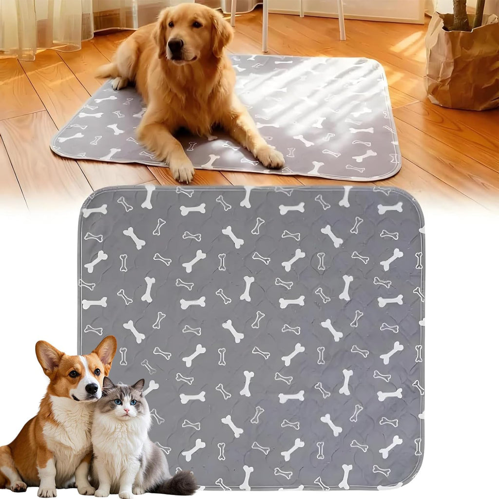 Kacitalone pee pads with pheromones grey front view