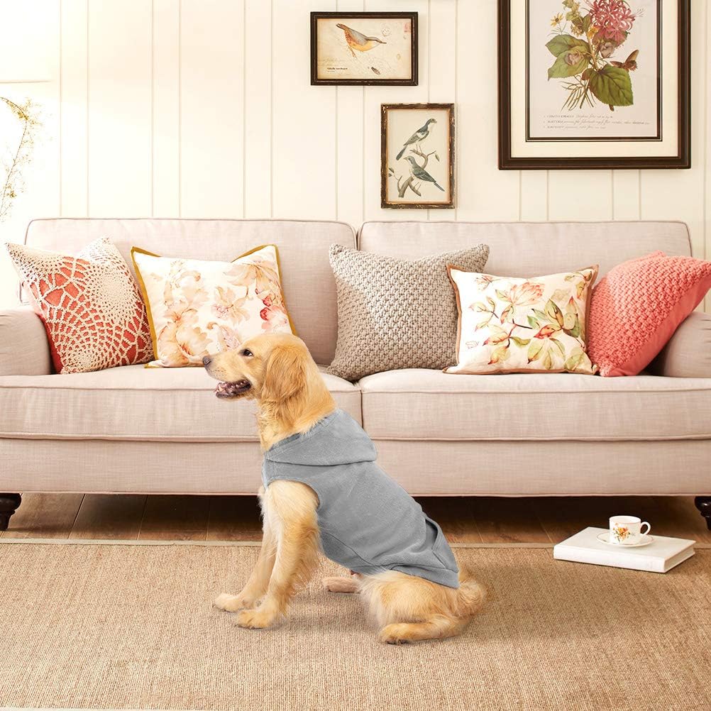 Expawlorer authentic imported dog clothes for winter outdoor walks