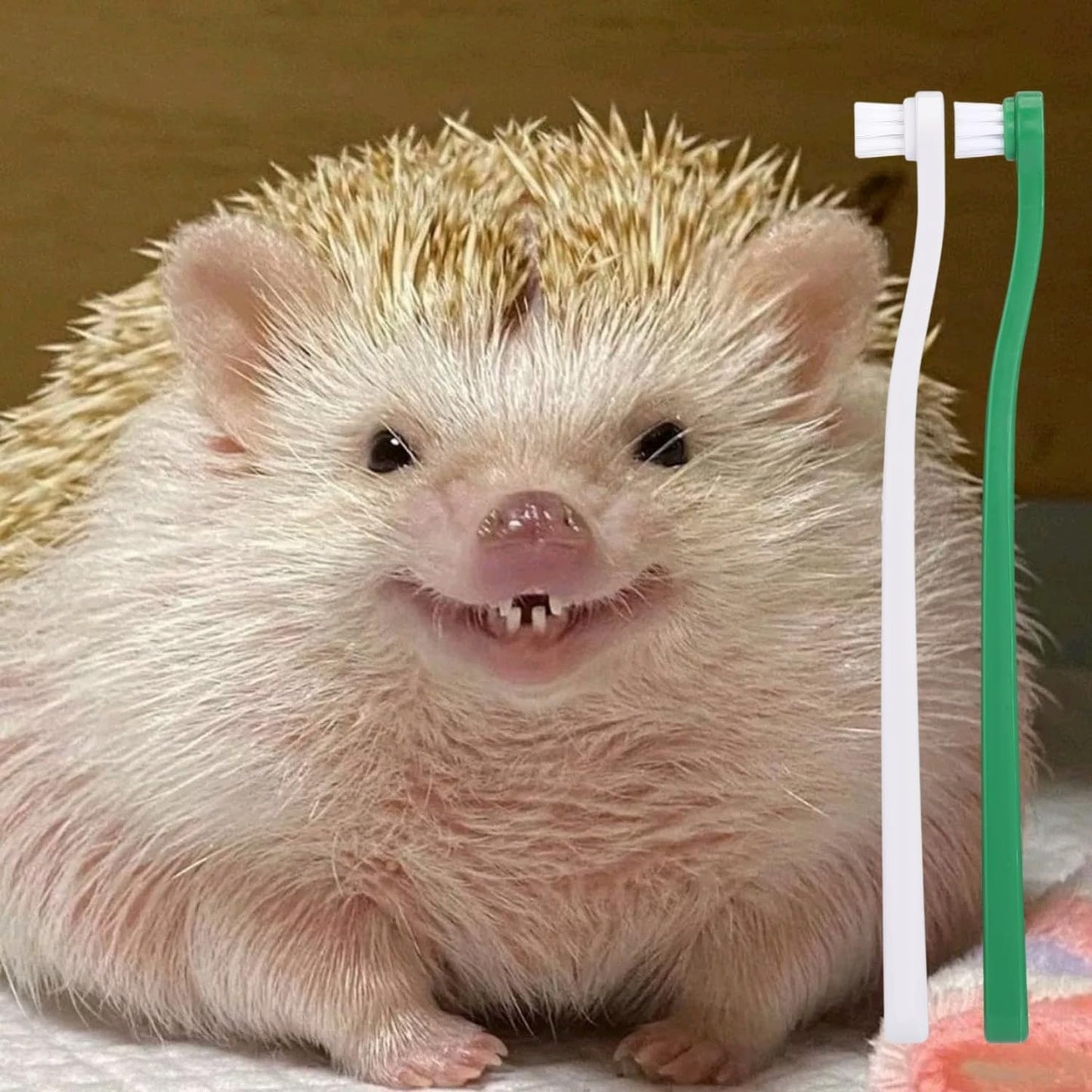 PUMEXFE gentle pet dental care brush set showing white and green handle options.