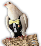 Bev's Bird Boutique Regular Flyper Adjustable Bird Diaper | Reusable, Washable Cloth | Comfort Fit for Parrot, Cockatiels, & Other Small Birds | Fashionable Avian Accessories, Dungaree Jeans, Size 7 - Image 12