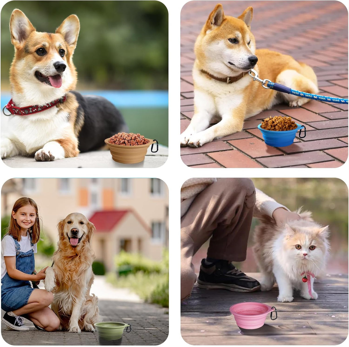 PetBonus collapsible feeding bowls clipped onto a backpack for outdoor hiking