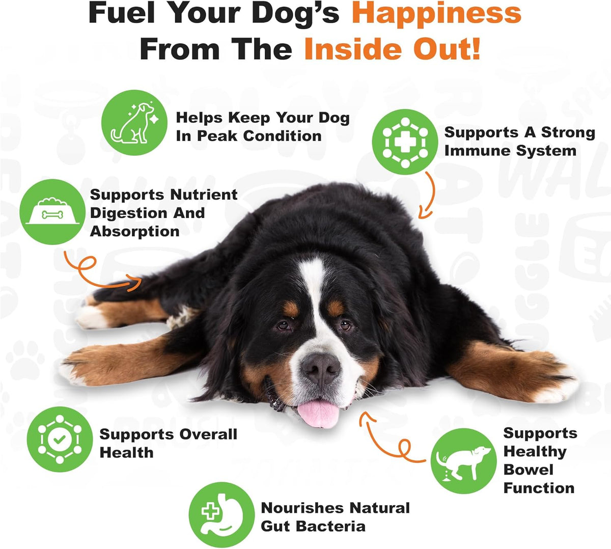 Doggie Dailies advanced dog probiotics ingredients list and nutritional facts