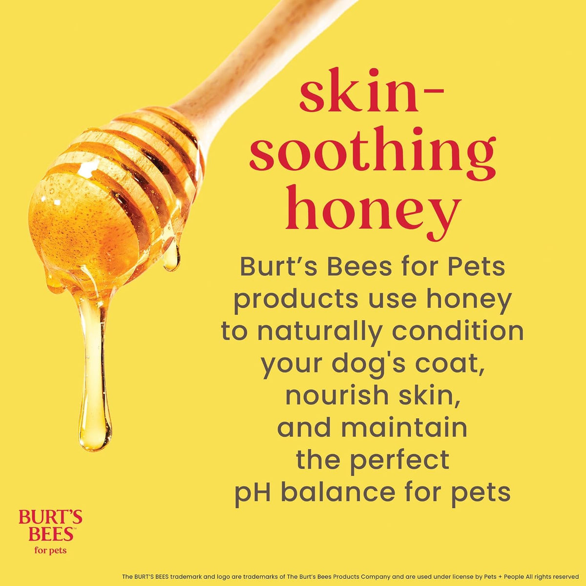 Burt's Bees natural origin fragrance free puppy conditioner 10 fluid ounces