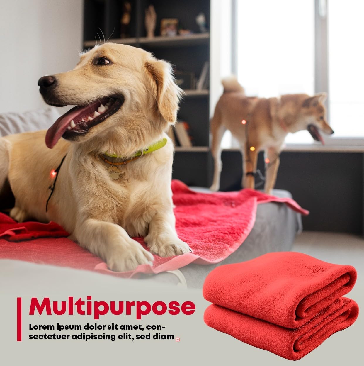 Quick dry premium dog towel laid out over a living room couch to prevent pet stains.